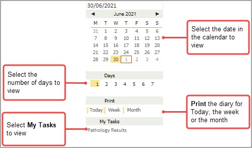 1_-_Clinician_Diary_-_annotated_screenshot_for_diary_features.jpg