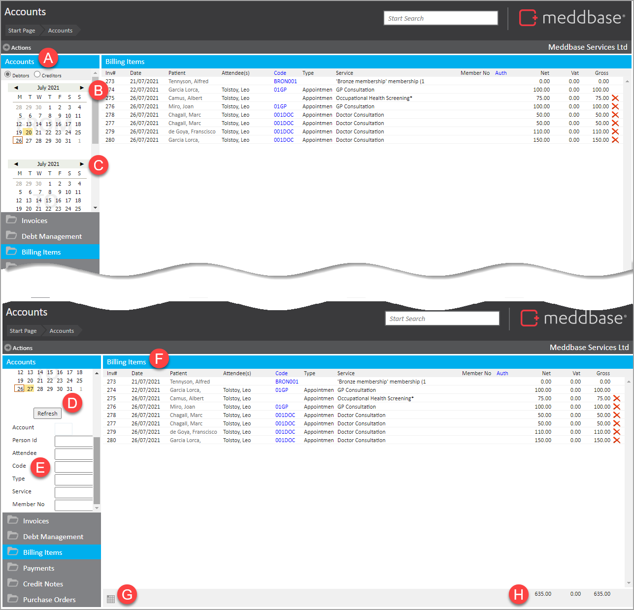 5_-_Billing_items_section_in_Accounts_with_annotations_to_features.png